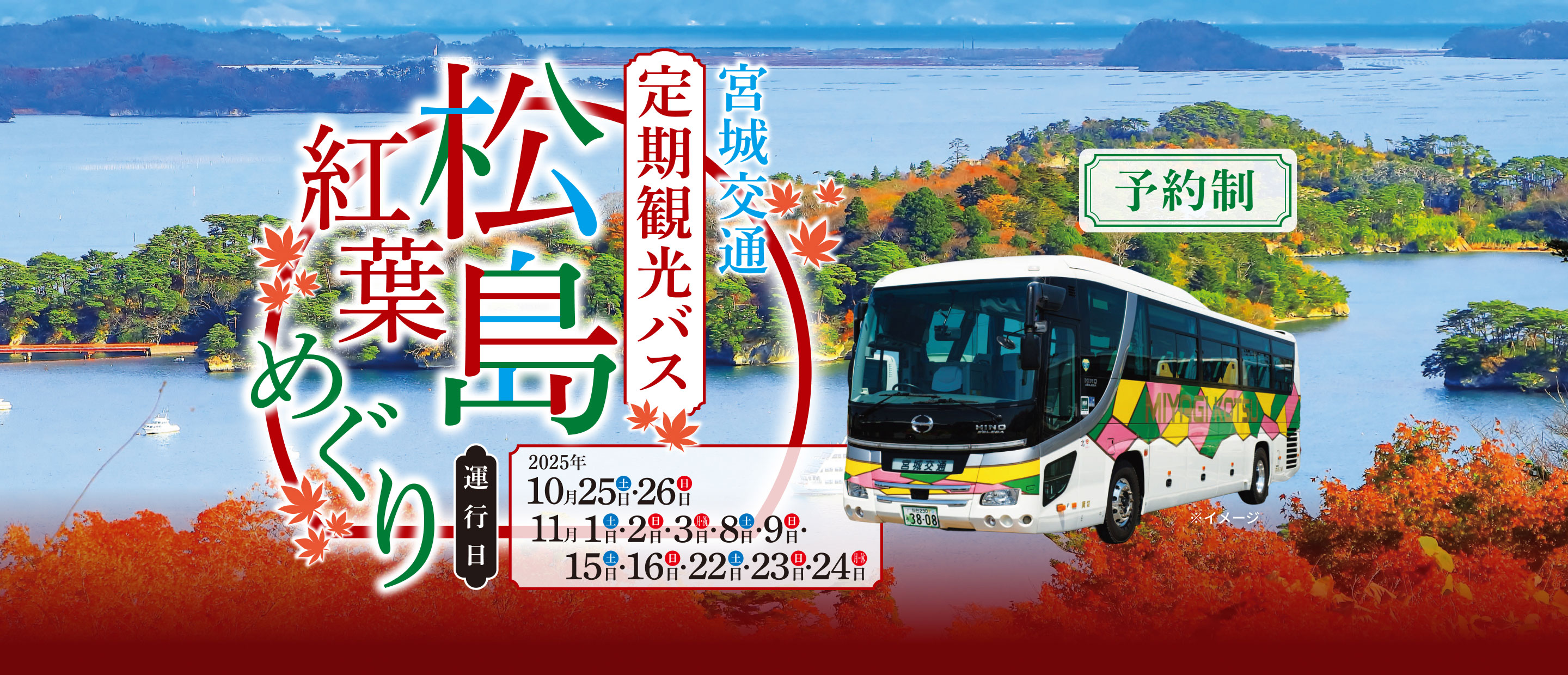 定期観光バス 松島紅葉めぐり